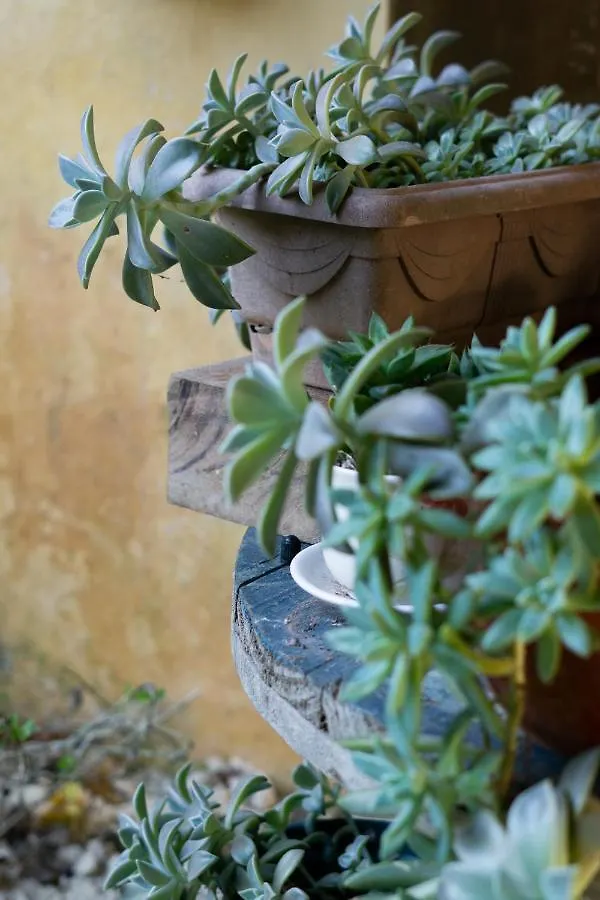 Casa Dos Acores B&B 2*, Florianopolis